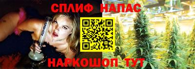 дживик Нальчик