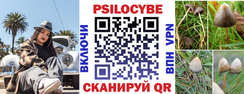 Псилоцибиновые грибы Magic Shrooms Новокузнецк