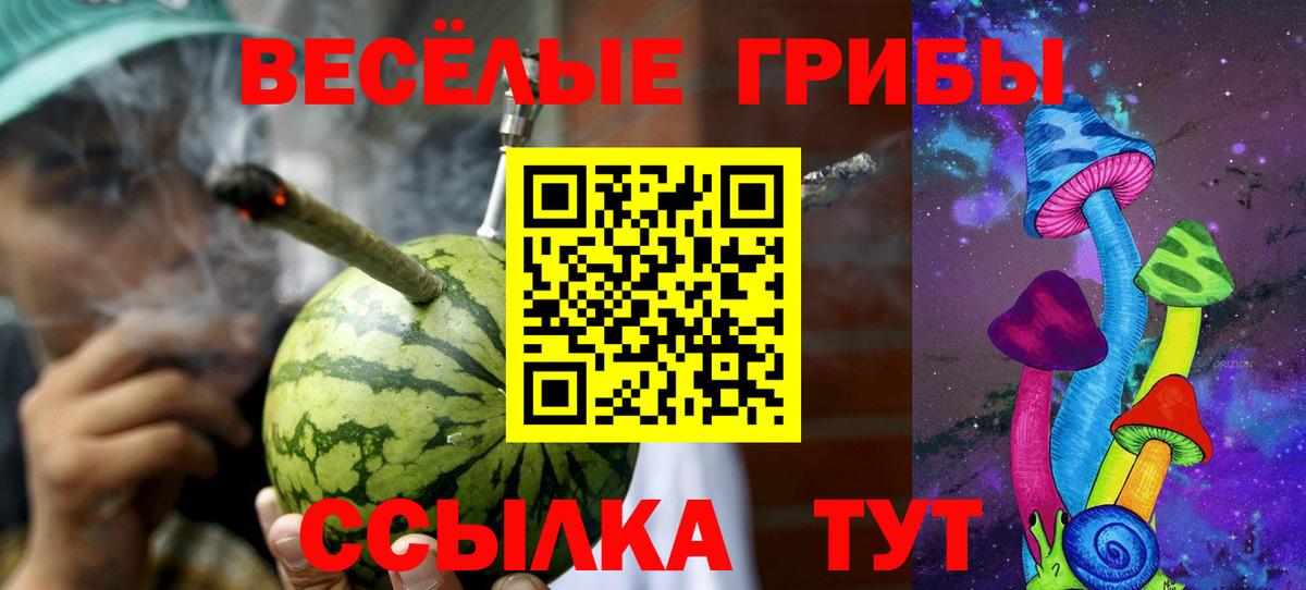 Псилоцибиновые грибы Psilocybe  Псилоцибиновые грибы Magic Shrooms  Вход с VPN  где купить   Новокузнецк 